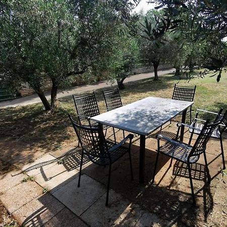 Ferienwohnung App Carla Novigrad Istria Exterior foto