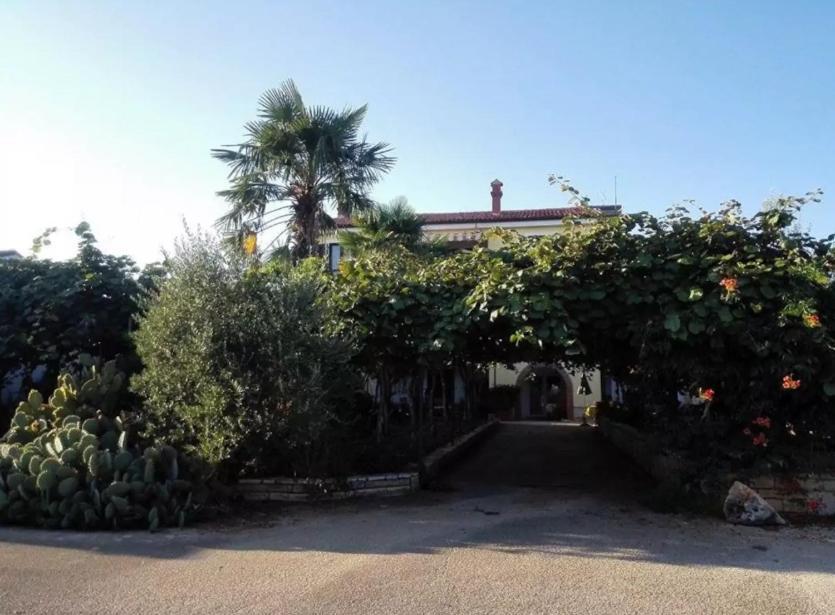 Ferienwohnung App Carla Novigrad Istria Exterior foto