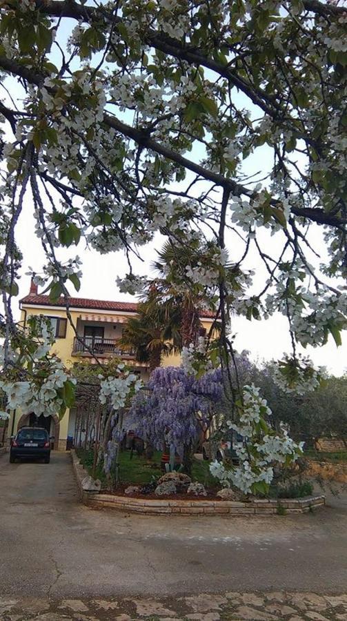 Ferienwohnung App Carla Novigrad Istria Exterior foto