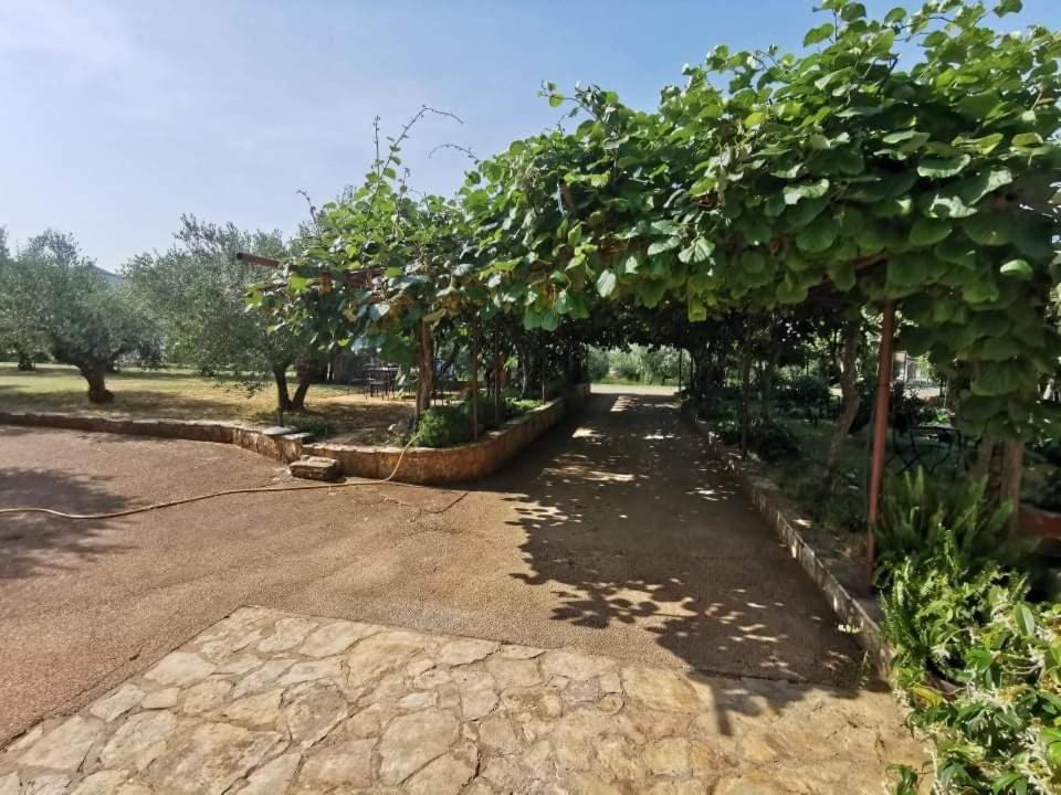 Ferienwohnung App Carla Novigrad Istria Exterior foto