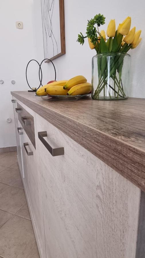 Ferienwohnung App Carla Novigrad Istria Exterior foto